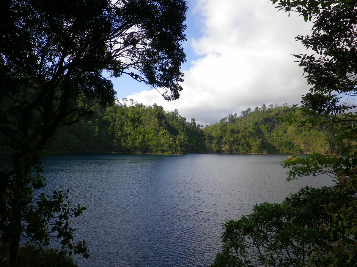 Lake Area18